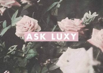 How To Get Rid of Dandruff, How To Get Shiny Hair & More Hair Tips – Luxy Hair