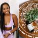 Rosemary Oil for Hair Growth | DIY Hair Recipe