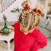 5 Easy Little Girl Hairstyles for School